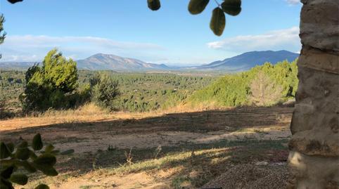 Terreno en venta en Costur, Castellón - imagen 3 Foto 3 de Terreno en venta en Costur, Castellón