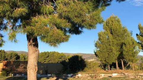 Terreno en venta en Costur, Castellón - imagen 4 Foto 4 de Terreno en venta en Costur, Castellón