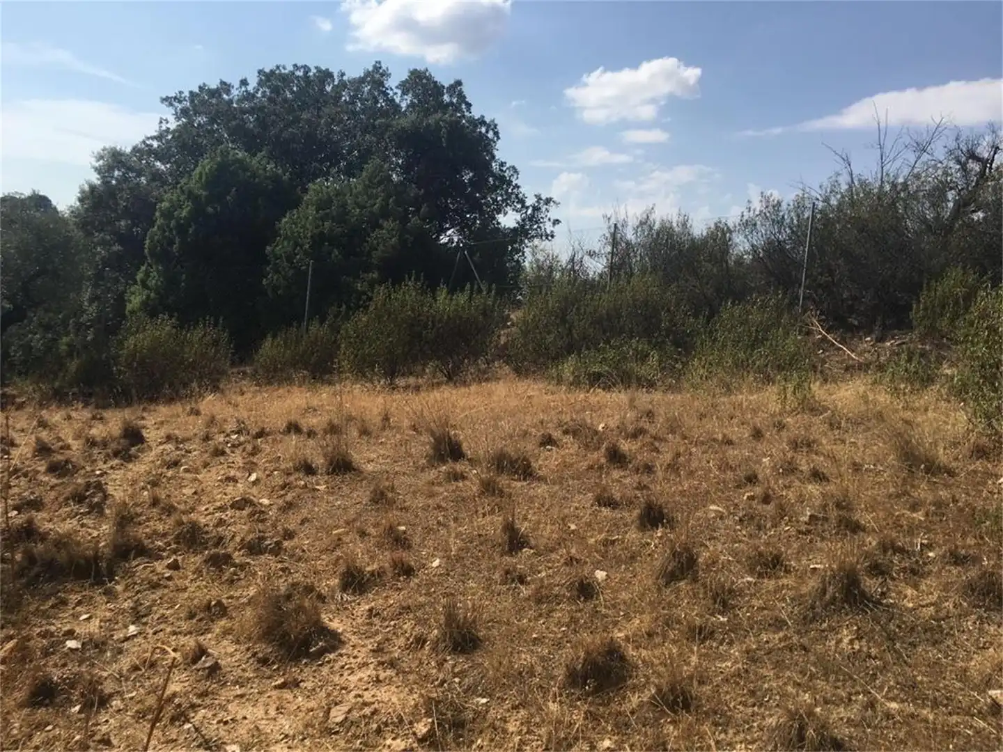 Land for sale in Hontanar