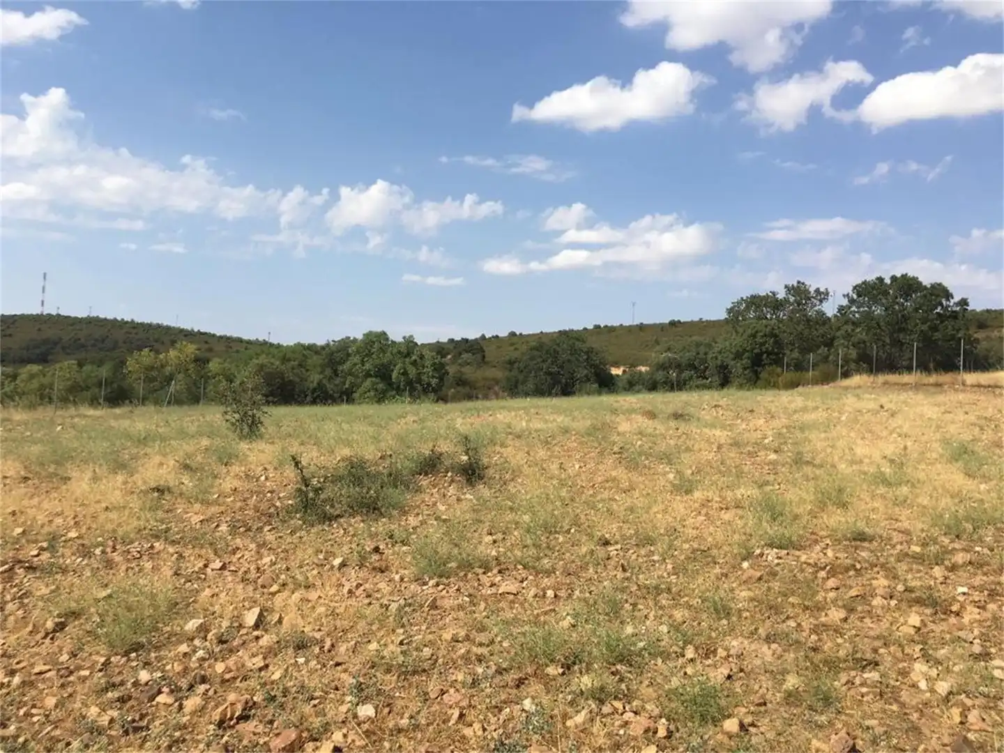Land for sale in Hontanar