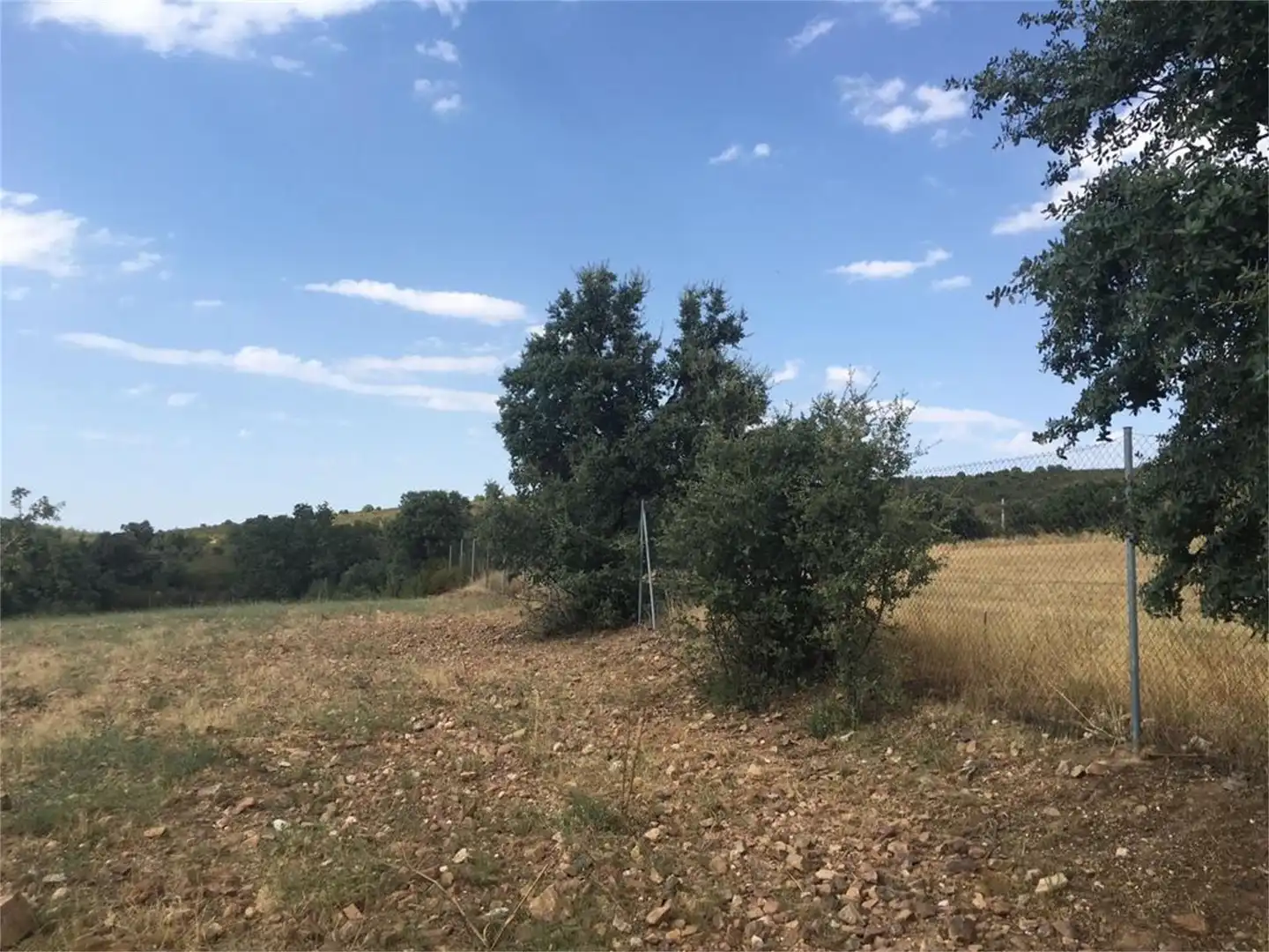 Land for sale in Hontanar