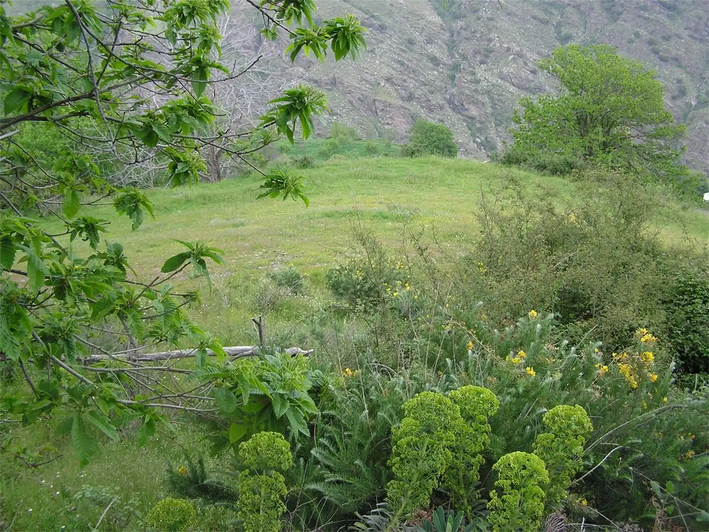 Garten von Grundstücke zum Verkauf in Bérchules