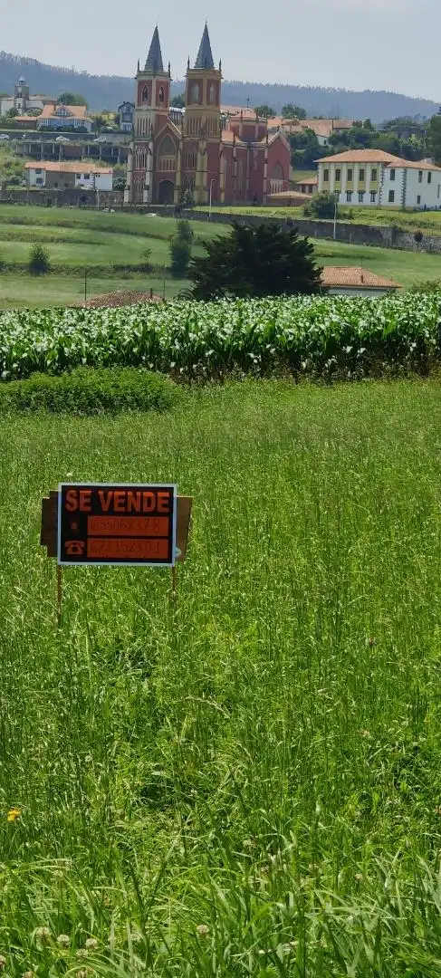 Nicht bebaubares Gelände zum Verkauf in Alfoz de Lloredo