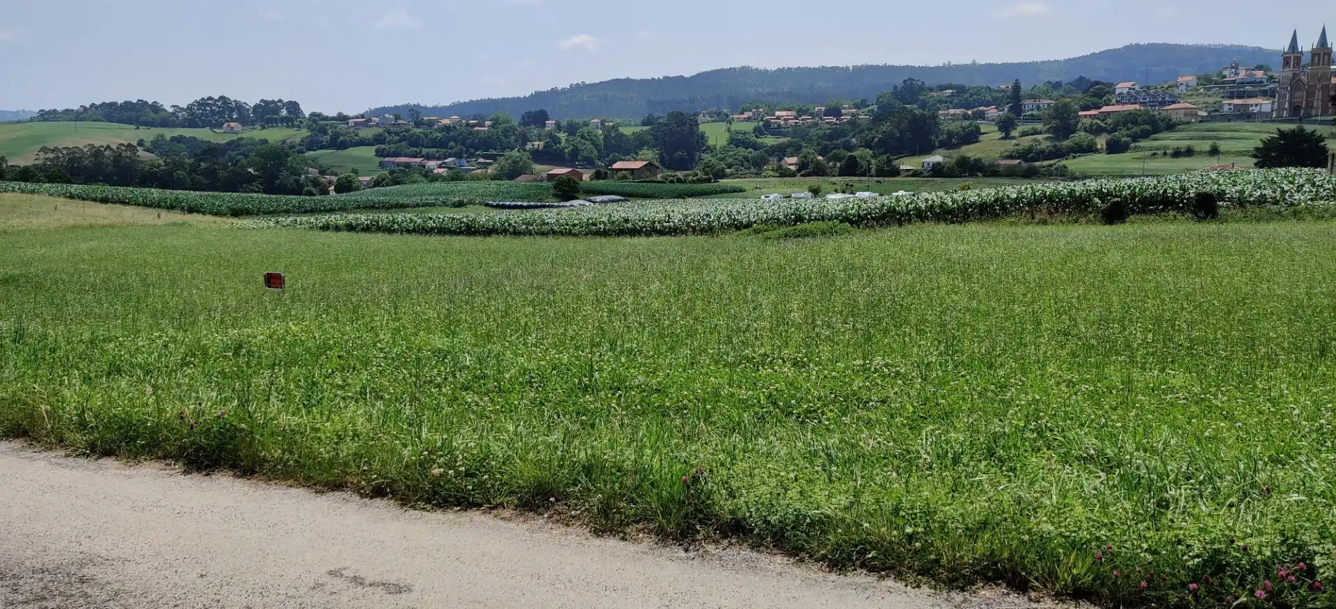 Außenansicht von Nicht bebaubares Gelände zum Verkauf in Alfoz de Lloredo
