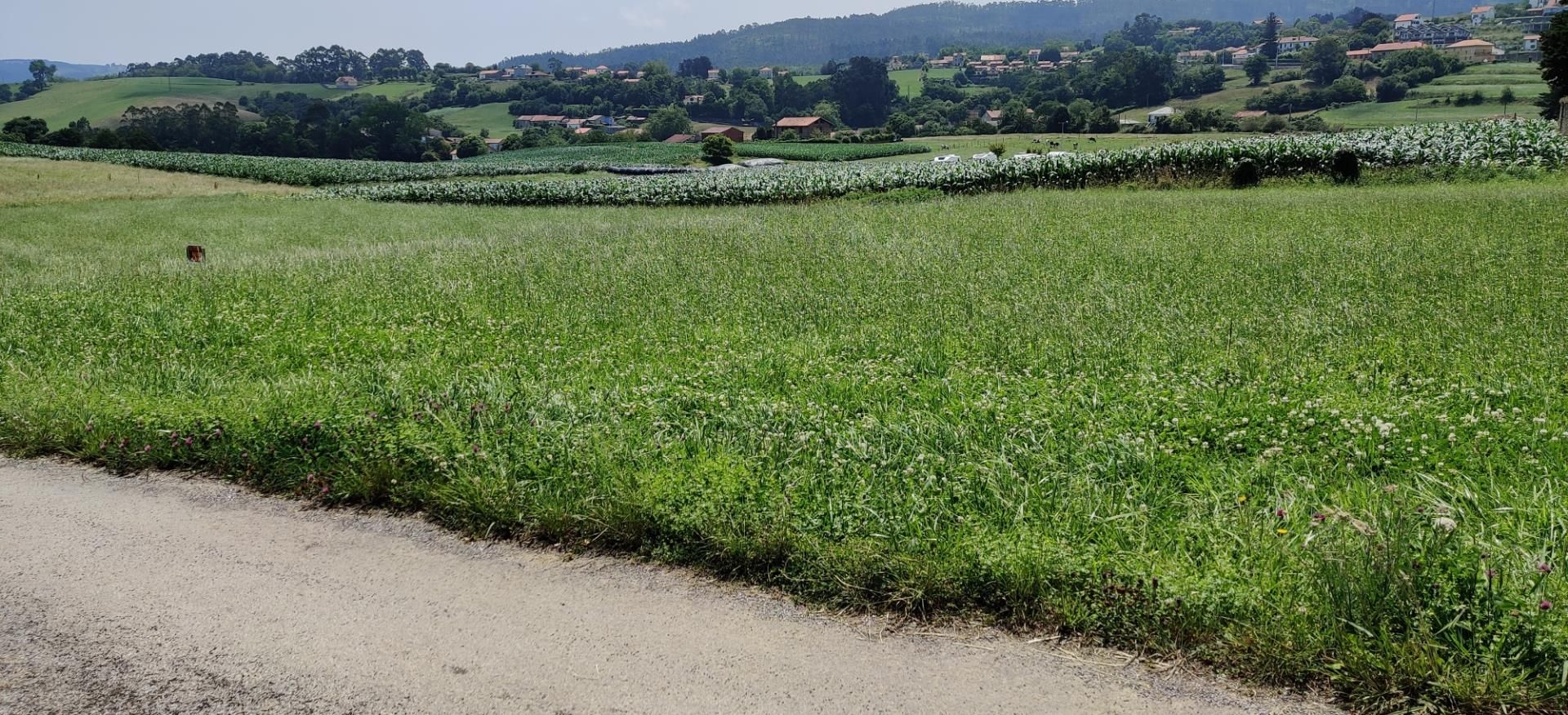 Exterior view of Non-constructible Land for sale in Alfoz de Lloredo