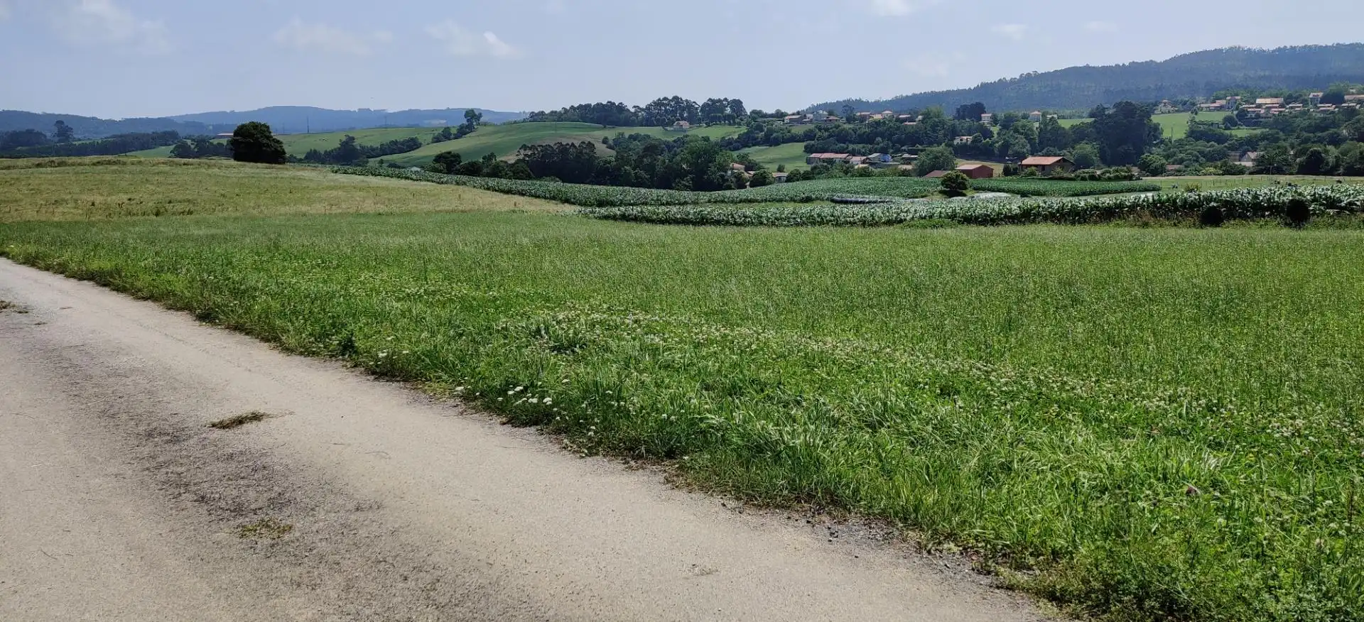 Nicht bebaubares Gelände zum Verkauf in Alfoz de Lloredo