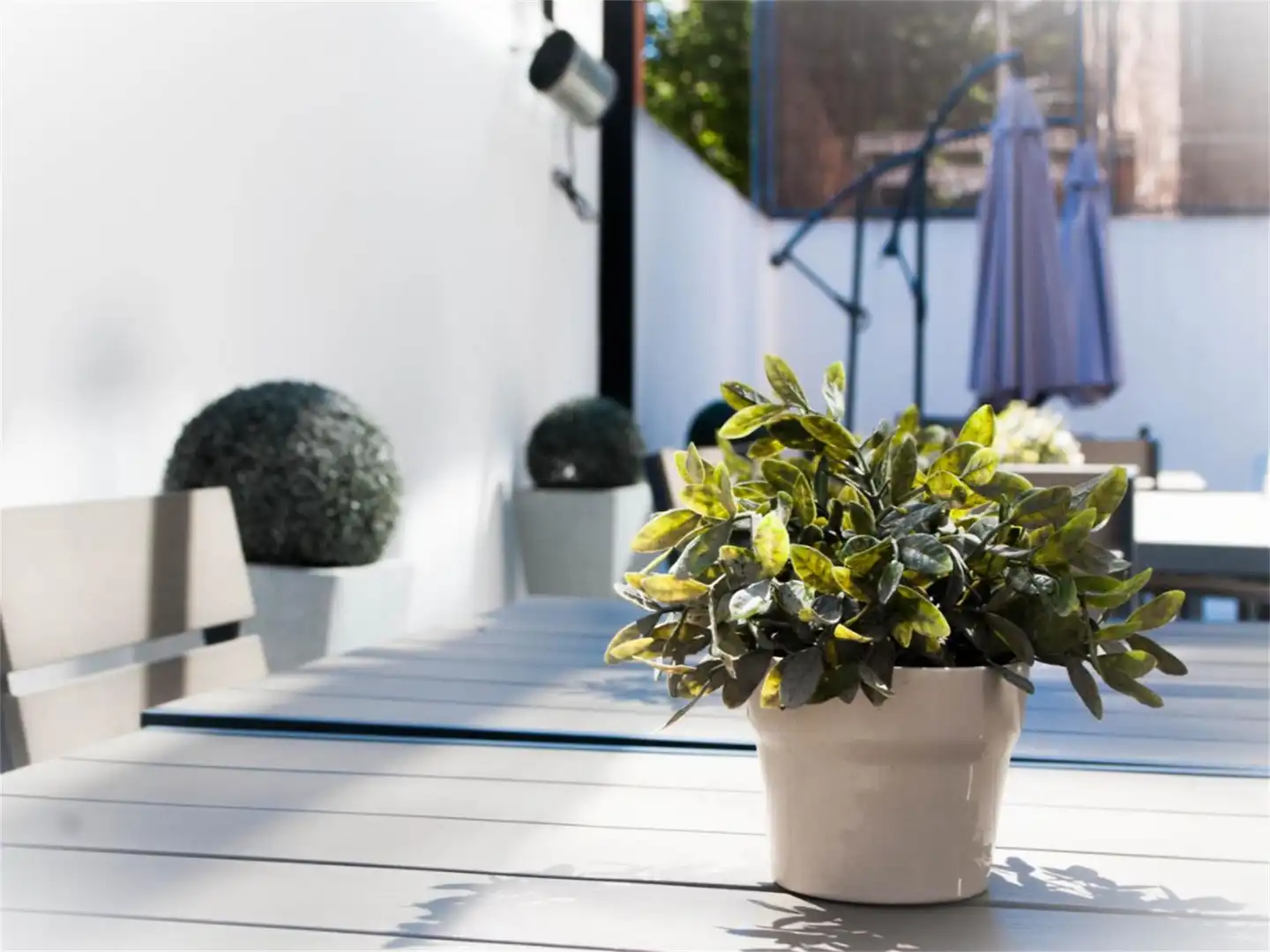 Terrace of Office for rent in Madrid
