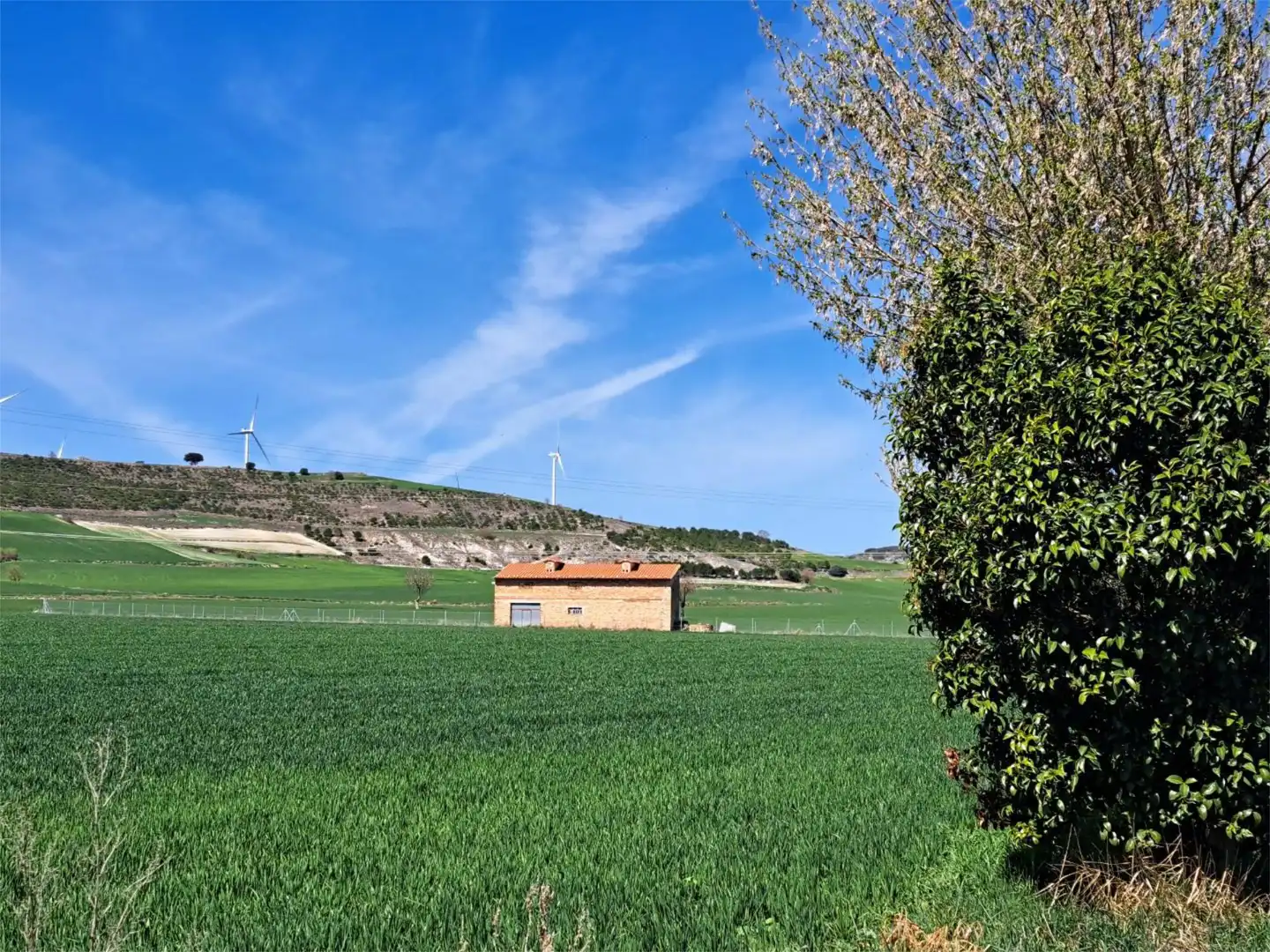 Terreno en venta en A Tamarón, Villaldemiro Terreno en venta en Villaldemiro