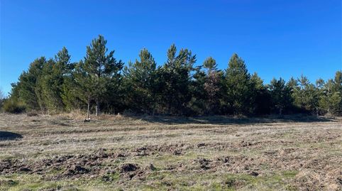 Photo 3 of Land for sale in Calle Escuela, Carrocera, León