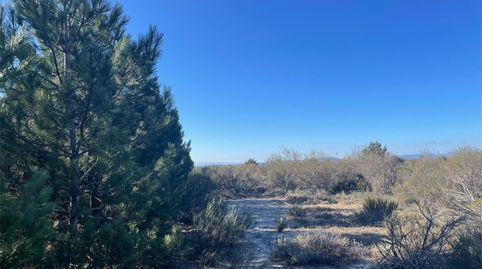 Photo 4 of Land for sale in Calle Escuela, Carrocera, León
