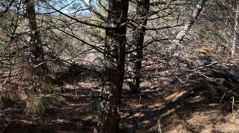 Photo 5 of Land for sale in Calle Escuela, Carrocera, León