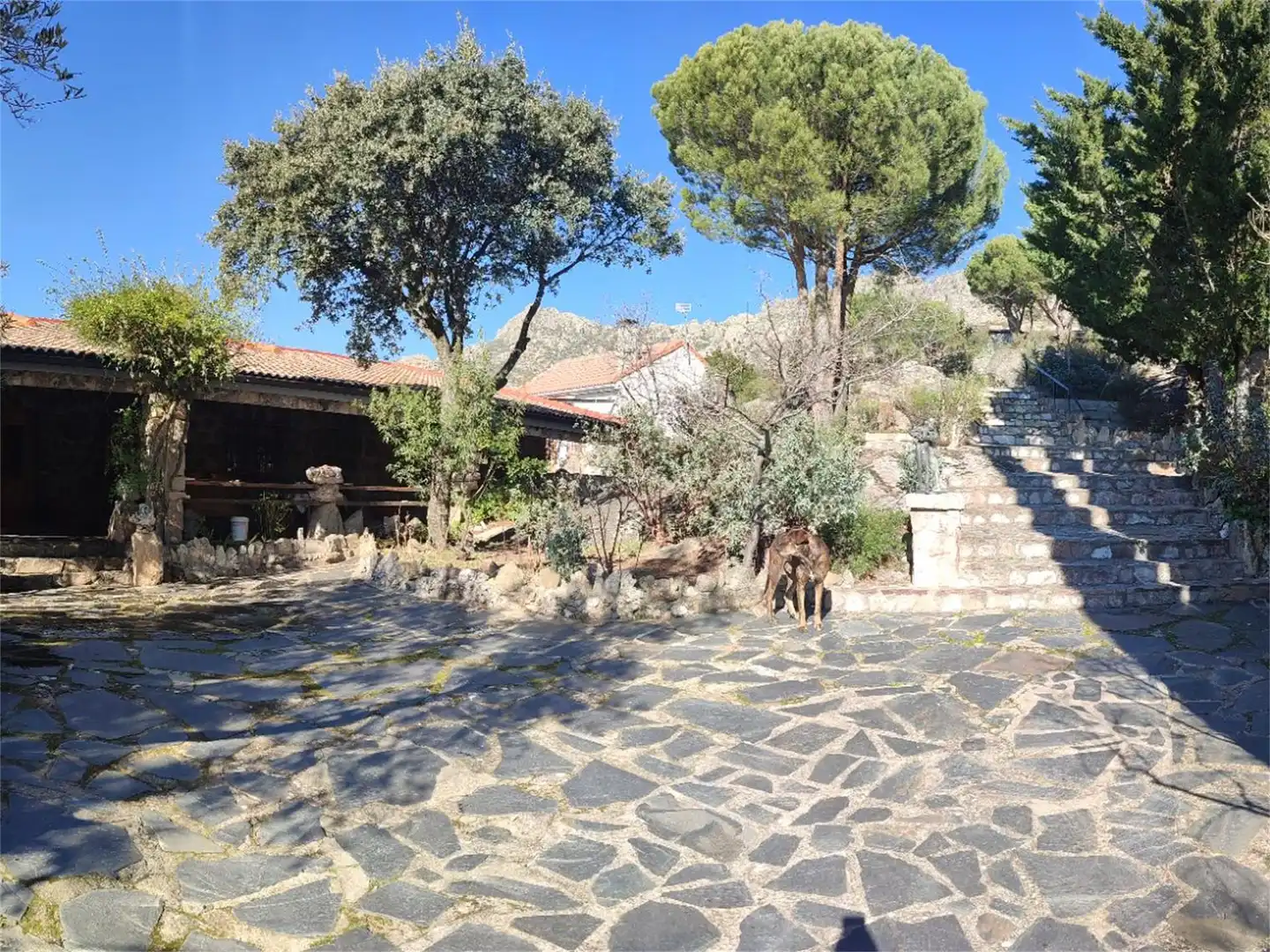 Country house zum Verkauf in Calle Reconquillo, Valdemanco Garten von Country house zum Verkauf in Valdemanco mit Heizung, Privatgarten und Terrasse