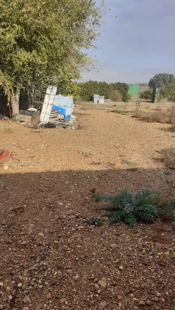 Finca rústica en venta en La Campana