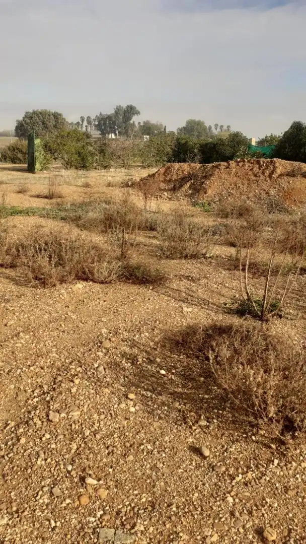 Finca rústica en venta en La Campana
