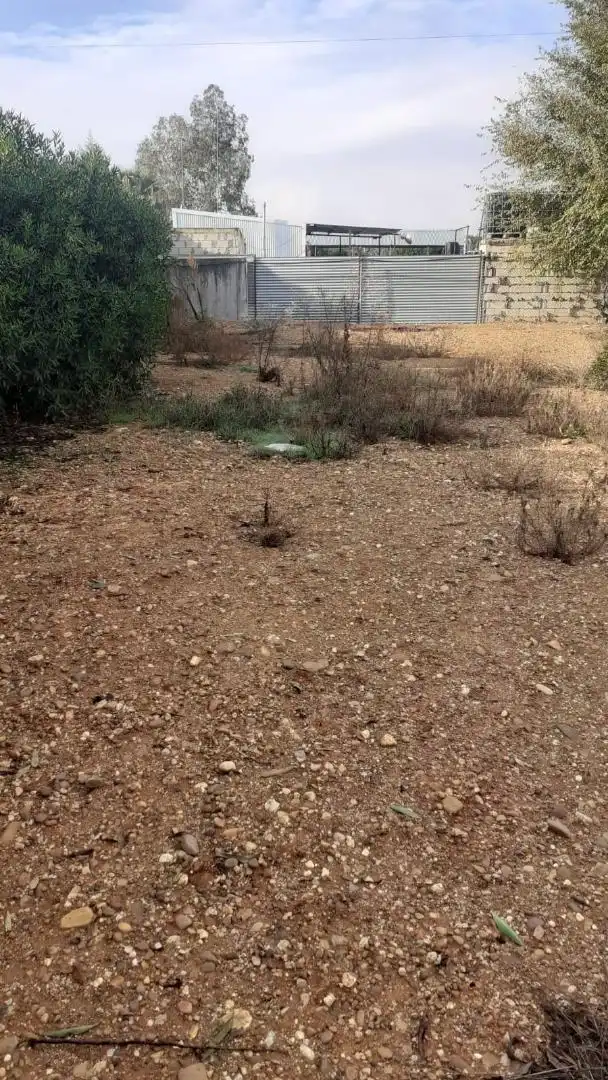 Finca rústica en venta en La Campana