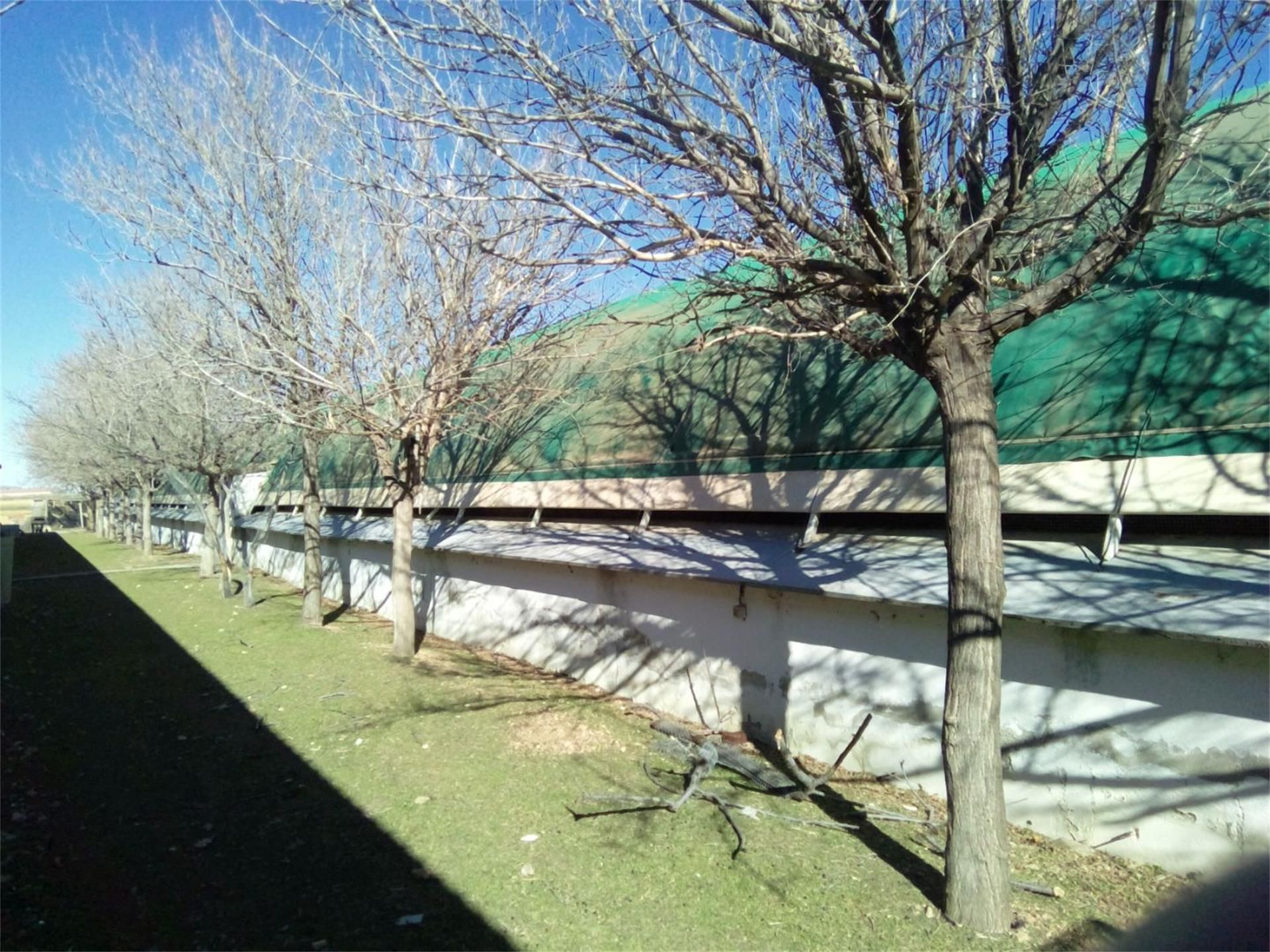 Exterior view of Land for sale in Monreal del Campo