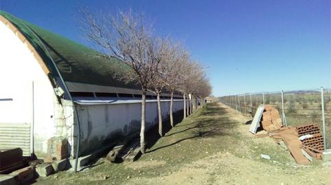 Foto 4 de Terreny en venda a Avenida de Madrid, Monreal del Campo, Teruel
