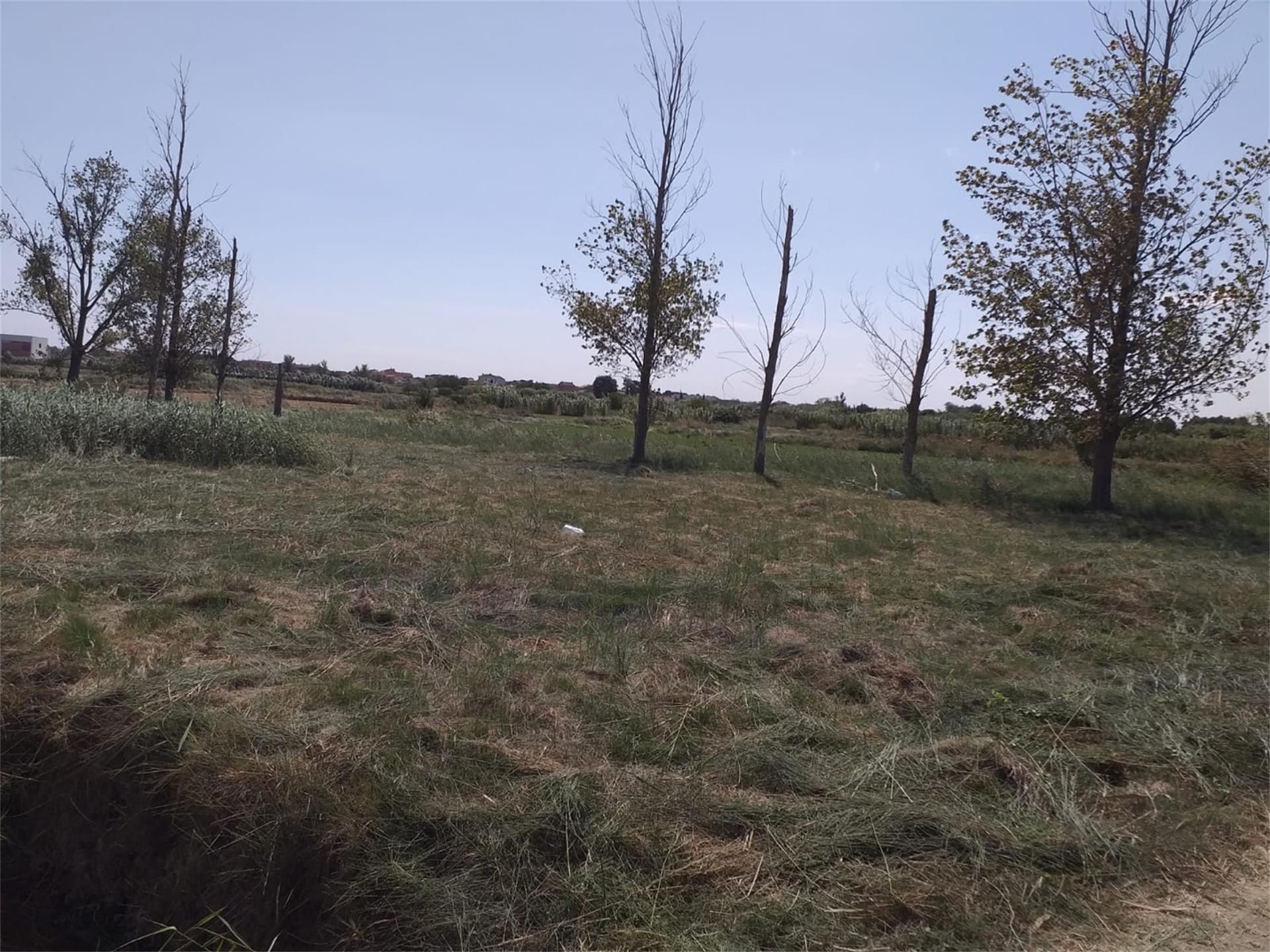 Außenansicht von Grundstücke zum verkauf in Pedrola