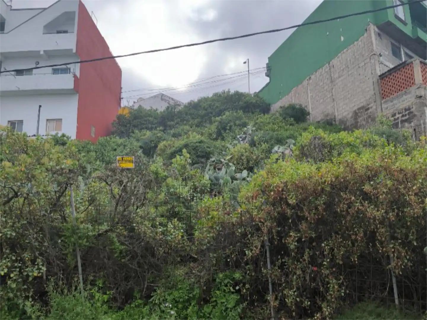 Vista exterior de Urbanitzable en venda en Arucas