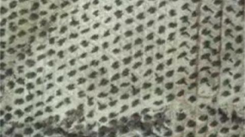 Terreny en venda a Avenida del Parque, Higuera de Calatrava, Jaén - imatge 5 Foto 5 de Terreny en venda a Avenida del Parque, Higuera de Calatrava, Jaén