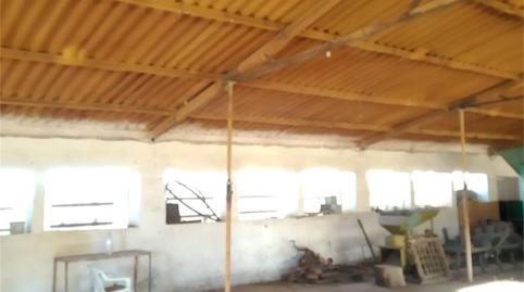 Foto 3 von Fabrikhallen zum Verkauf in Rambla de las Viñas, Dólar, Granada