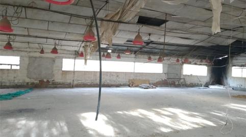 Foto 2 von Fabrikhallen zum Verkauf in Rambla de las Viñas, Dólar, Granada
