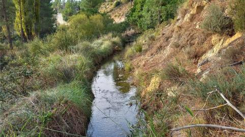 Foto 2 de Terreny en venda a Letur, Albacete
