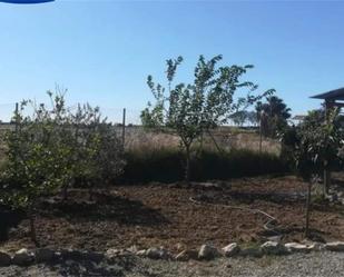 Land for sale in Jerez de la Frontera