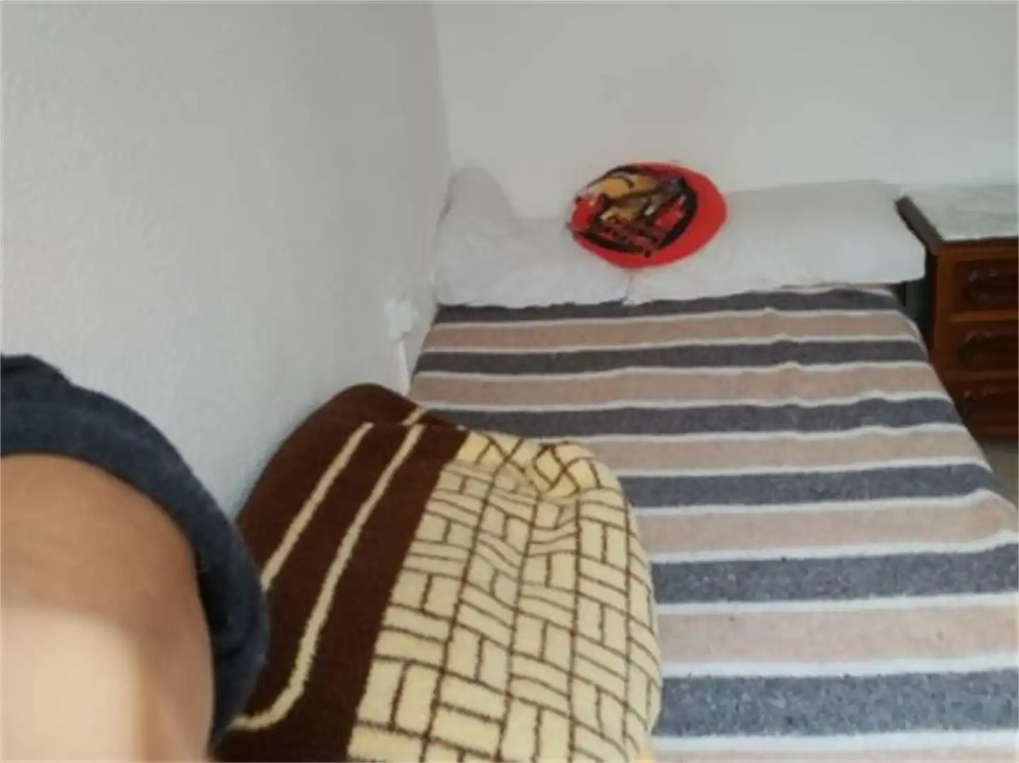 Habitación de Piso para compartir en Elche / Elx con Amueblado, Horno y Lavadora