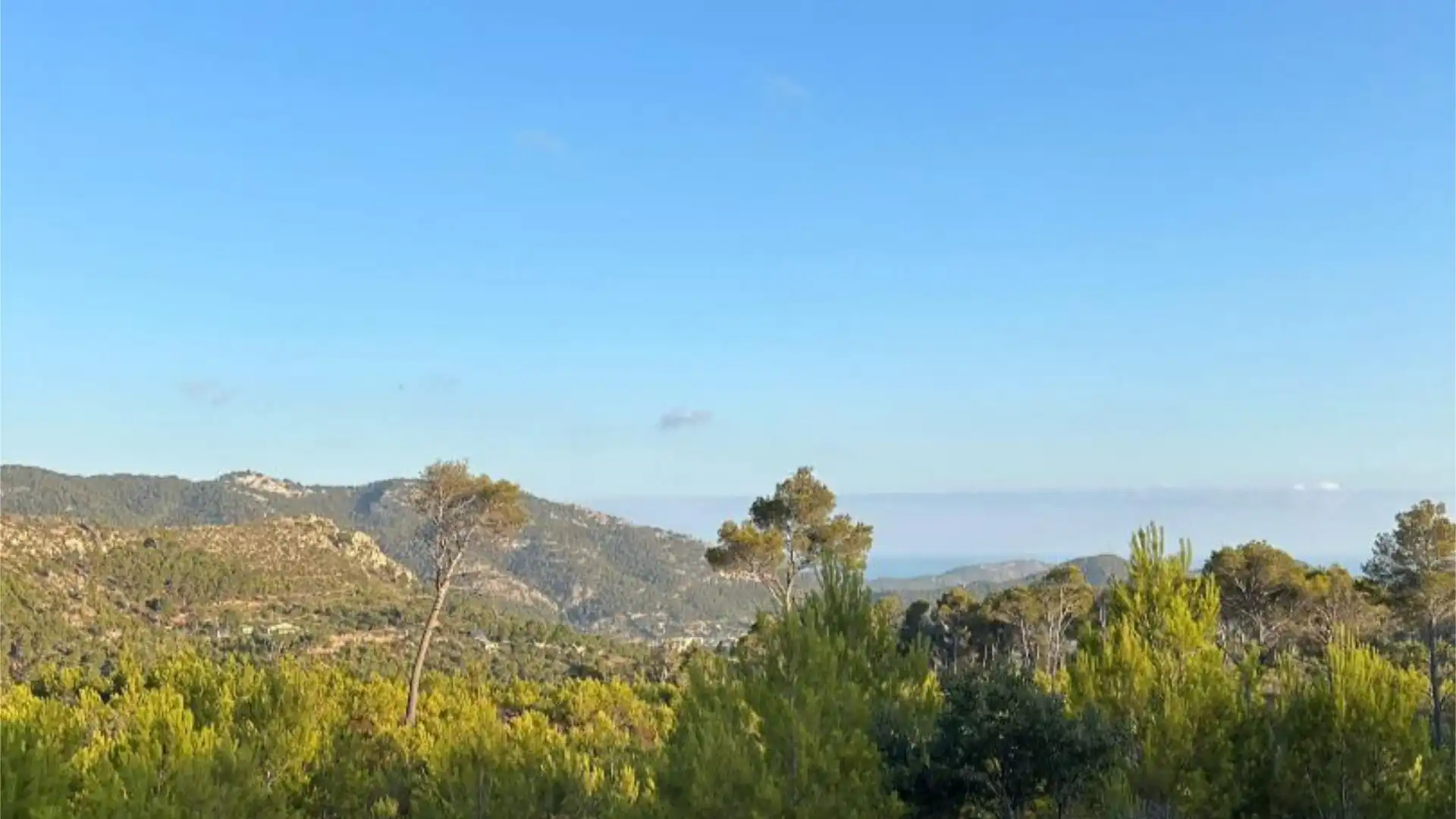 Terreno en venta en Andratx