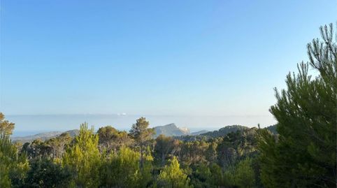 Terreno en venta en Andratx pueblo, Andratx - imagen 5 Foto 5 de Terreno en venta en Andratx pueblo, Andratx