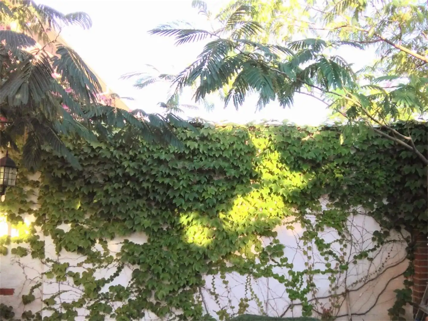 Casa o xalet en venda a Calle Virgen de la Salceda, 28, Los Valles - Sanz Vázquez - El Fuerte Jardí de Casa o xalet en venda en Guadalajara amb Aire condicionat, Calefacció i Jardí privat