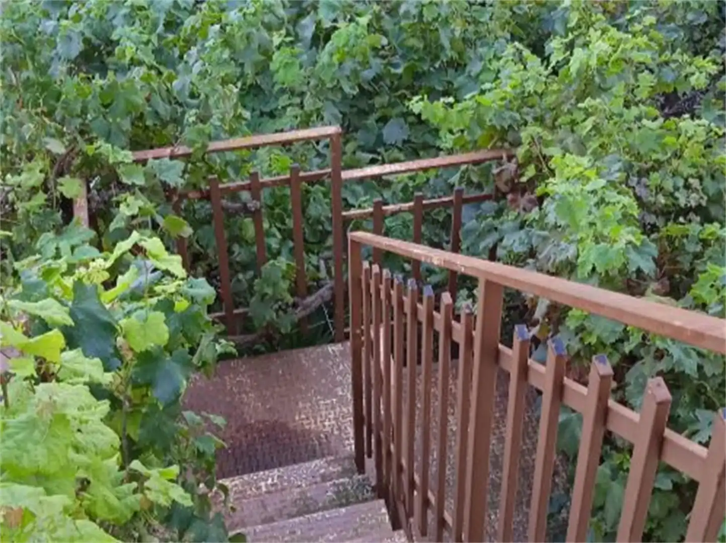 Jardín de Casa adosada en venta en Les Coves de Vinromà con Jardín privado, Amueblado y Horno