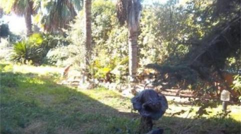 Foto 3 de Casa o xalet en venda a Carrer de Salvador Dalí, 10, Covamar, Tarragona