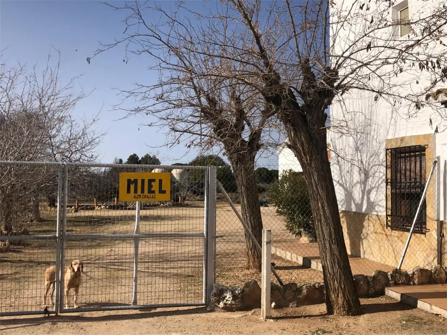 Pis en venda a Calle El Molinillo, 20, Arenales de San Gregorio Pis en venda en Arenales de San Gregorio amb Calefacció, Jardí privat i Terrassa