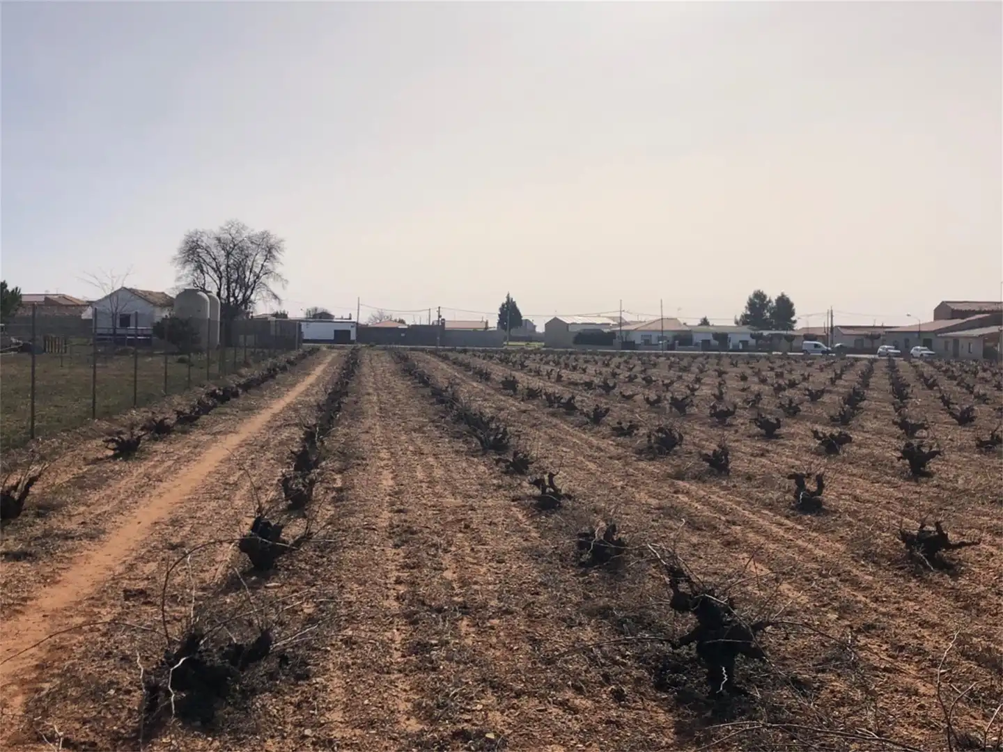 Pis en venda a Calle El Molinillo, 20, Arenales de San Gregorio Pis en venda en Arenales de San Gregorio amb Calefacció, Jardí privat i Terrassa