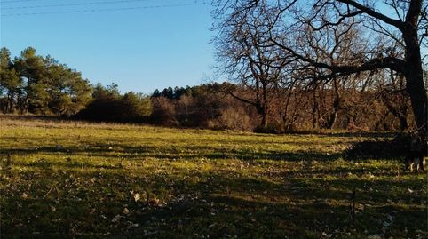 Foto 5 de Terreno en venta en Villanueva de la Vera, Cáceres