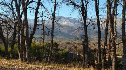 Foto 4 de Terreno en venta en Villanueva de la Vera, Cáceres