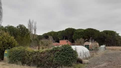 Foto 3 de Terreno en venta en Carretera de Valladolid a Soria, Sardón de Duero, Valladolid