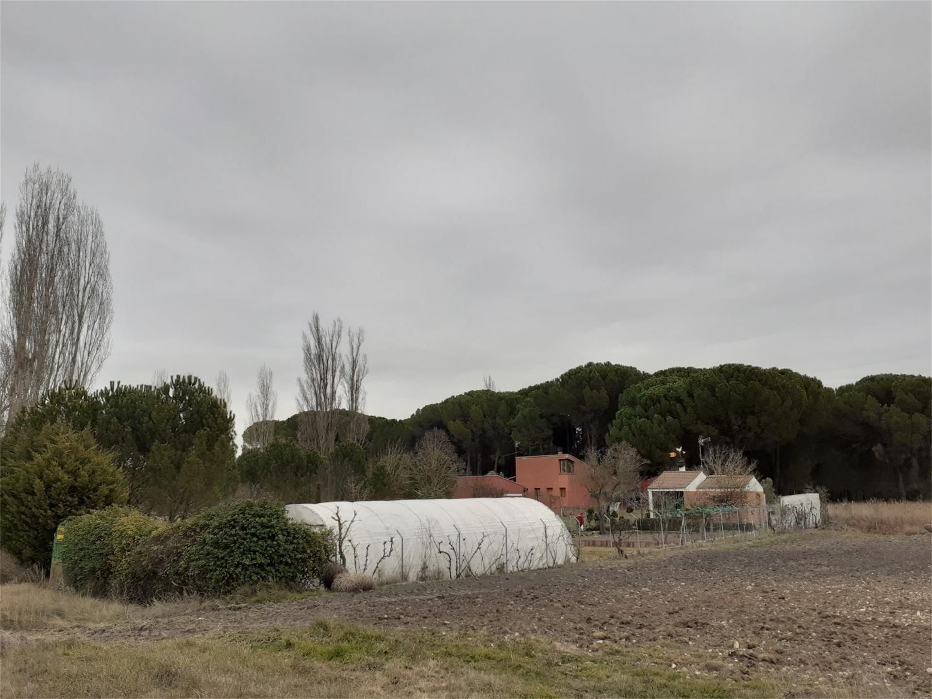 Exterior view of Land for sale in Sardón de Duero