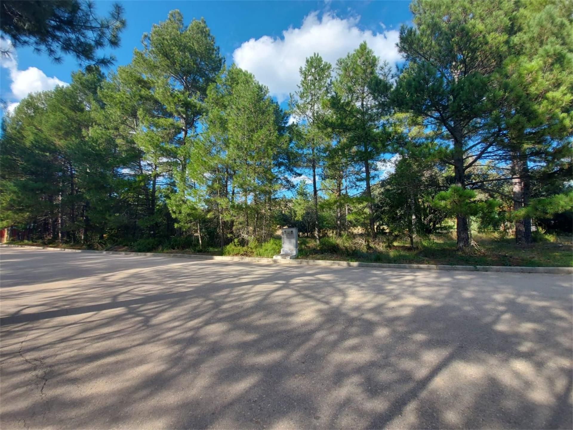 Land for sale in Trillo