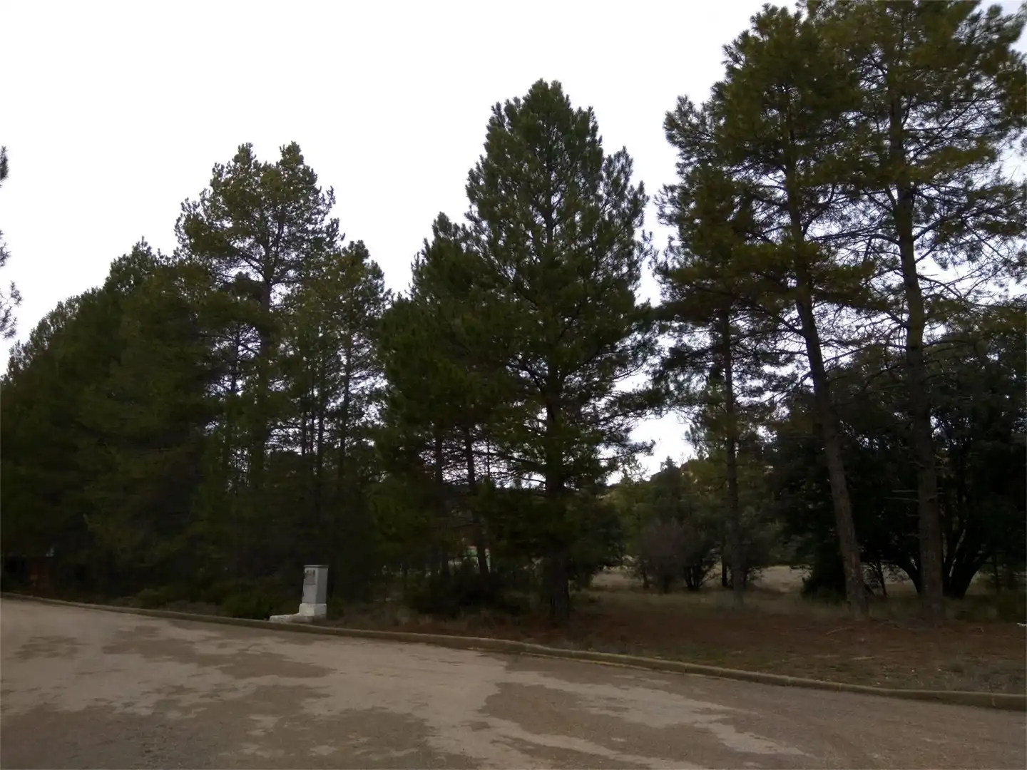 Terreno en venta en Trillo