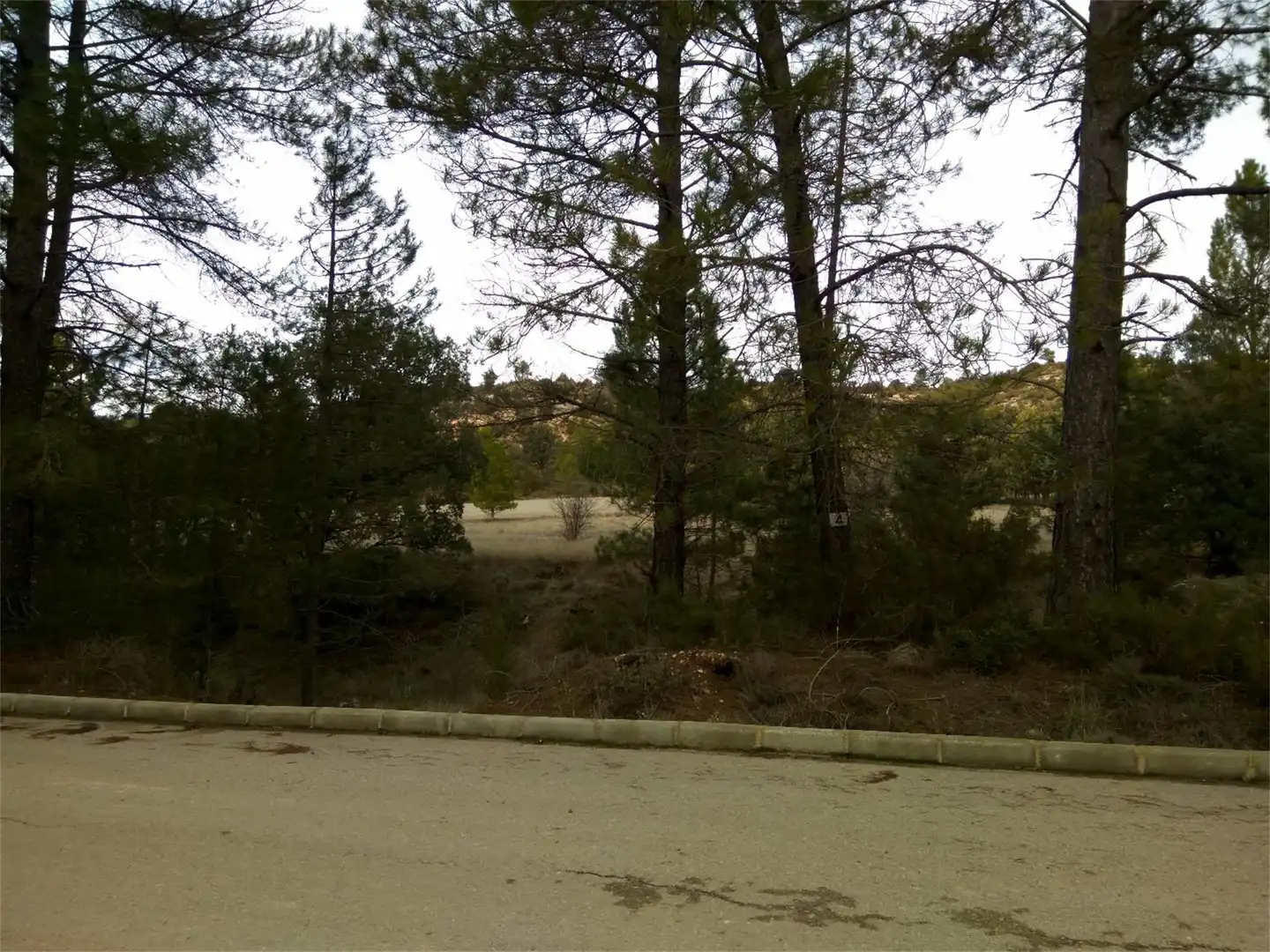 Terreno en venta en Trillo