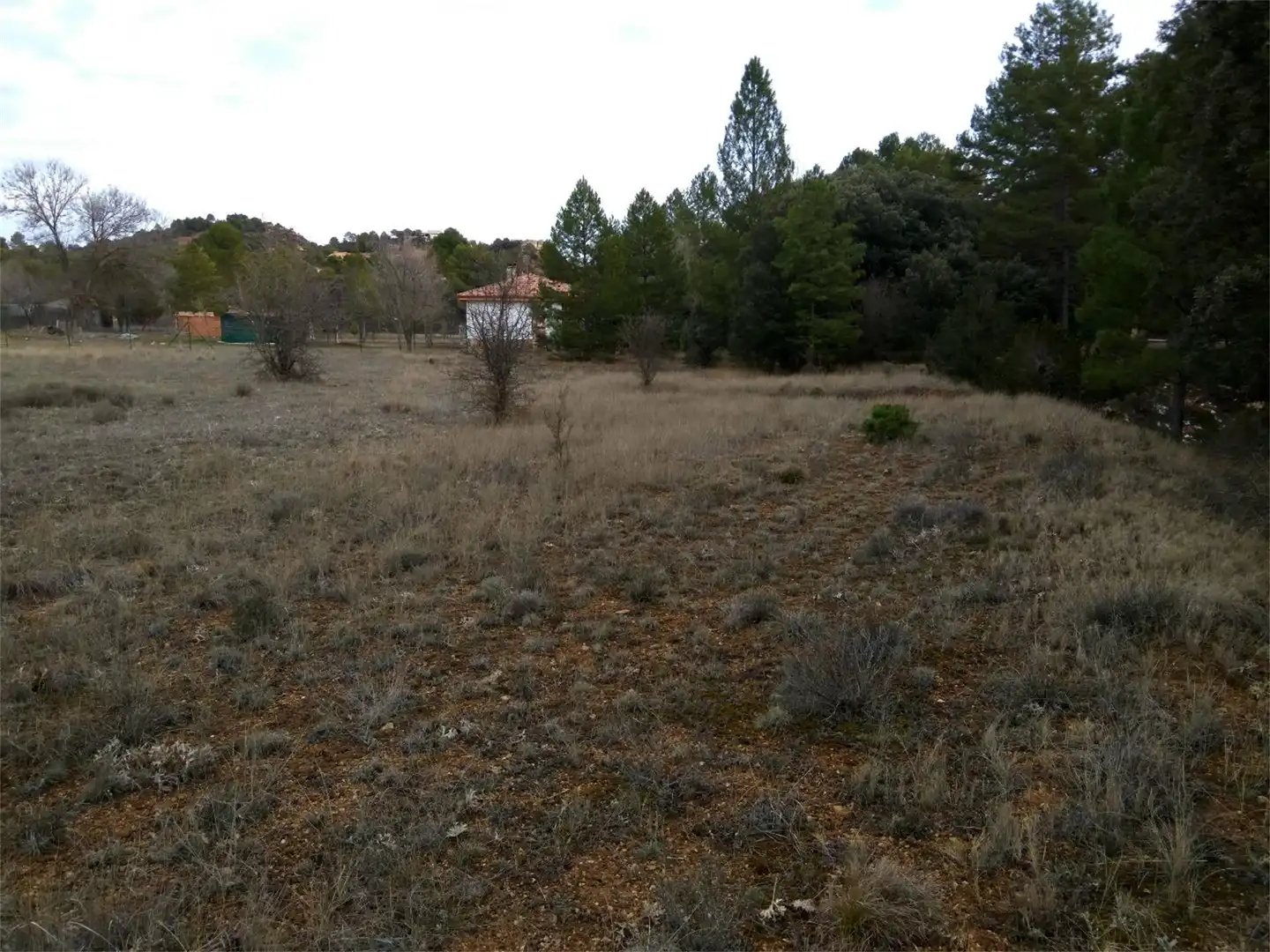 Terreno en venta en Trillo
