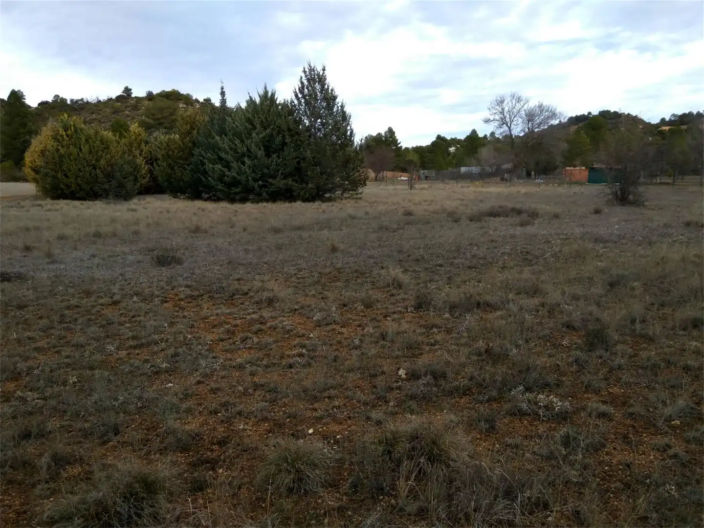 Terreno en venta en Trillo