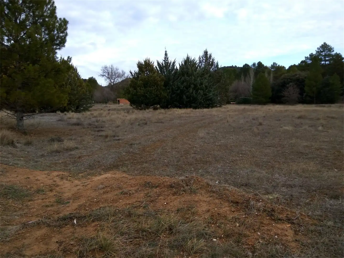 Terreno en venta en Trillo