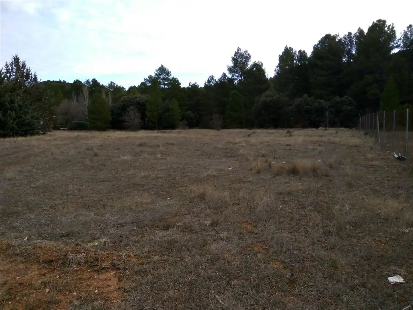 Terreno en venta en Trillo