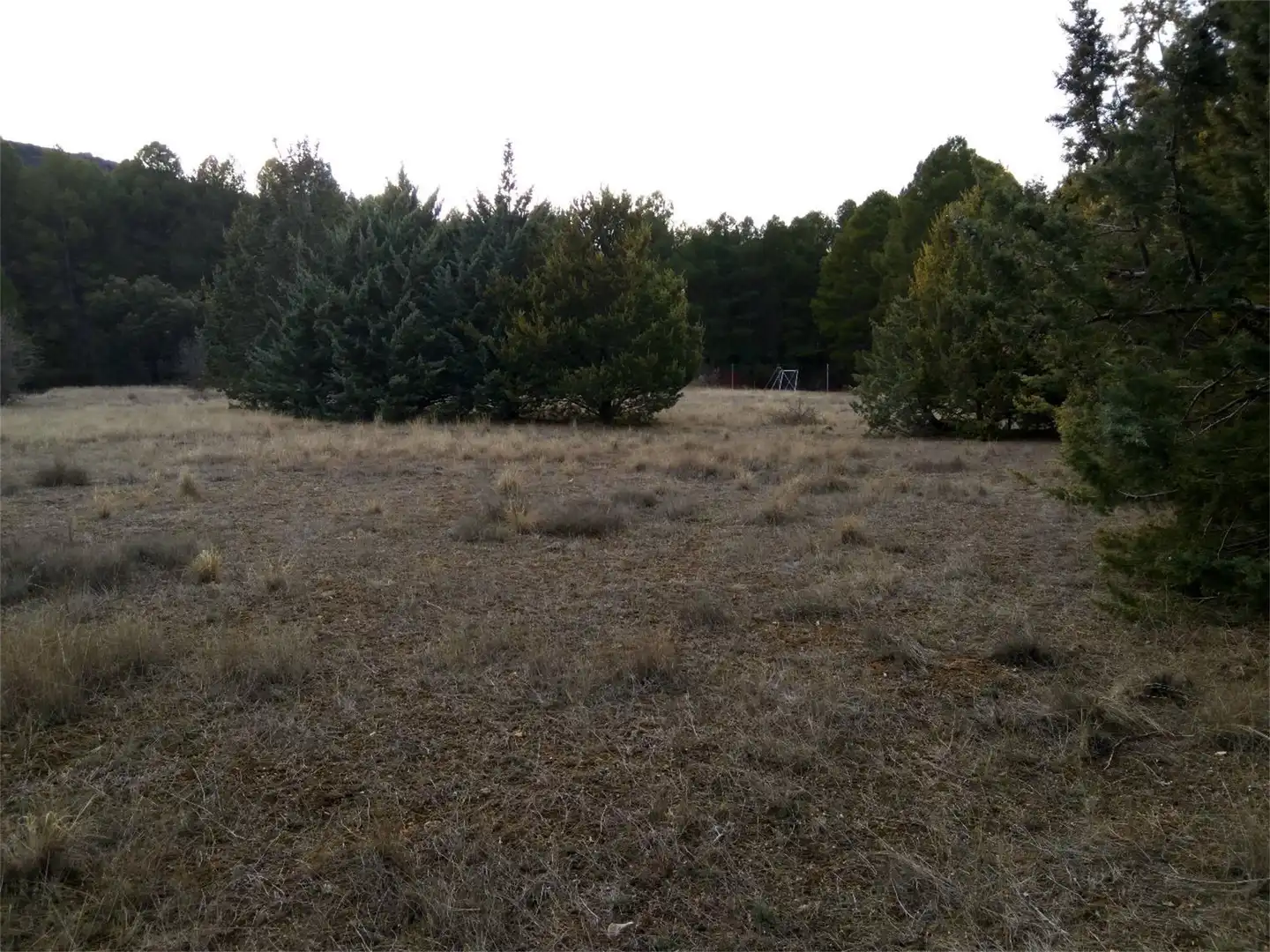 Terreno en venta en Trillo