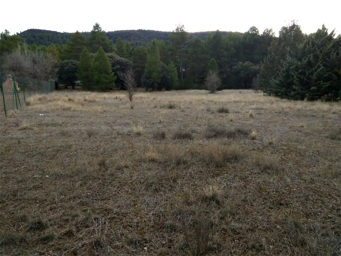 Terreno en venta en Trillo