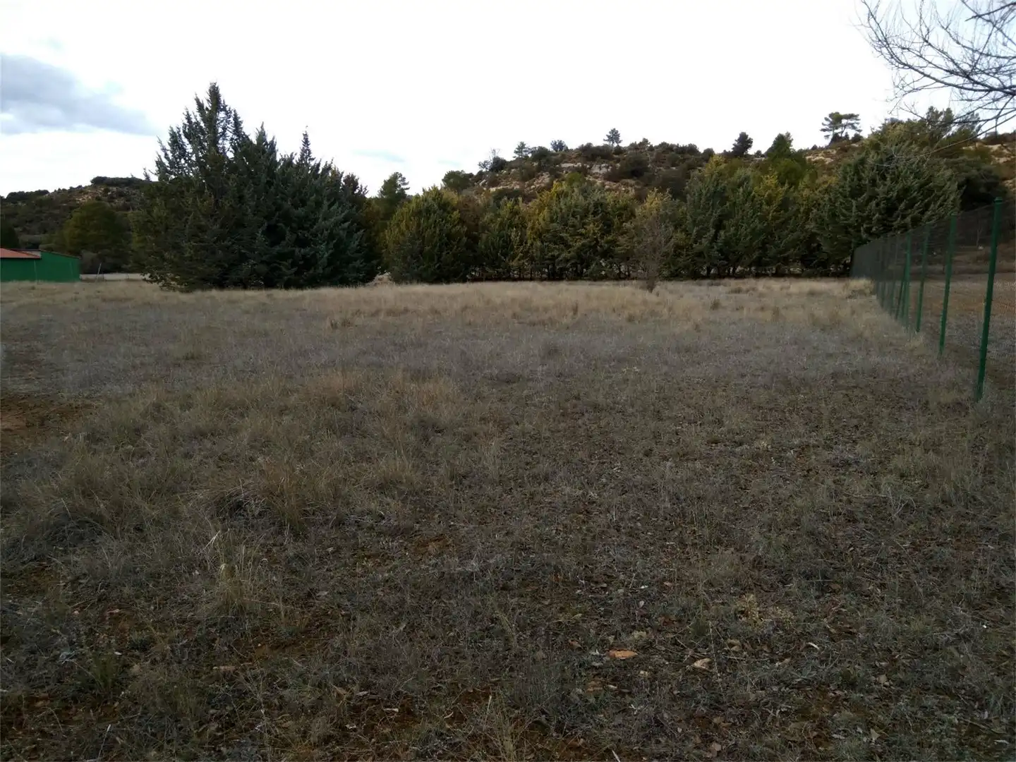 Terreno en venta en Trillo